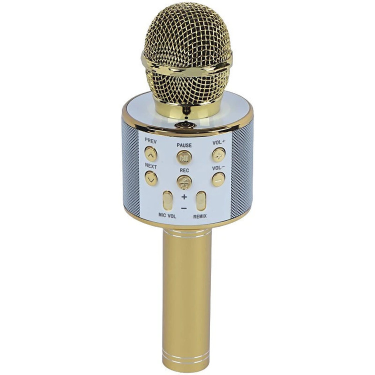 میکروفون اسپیکر گودفری WS-858